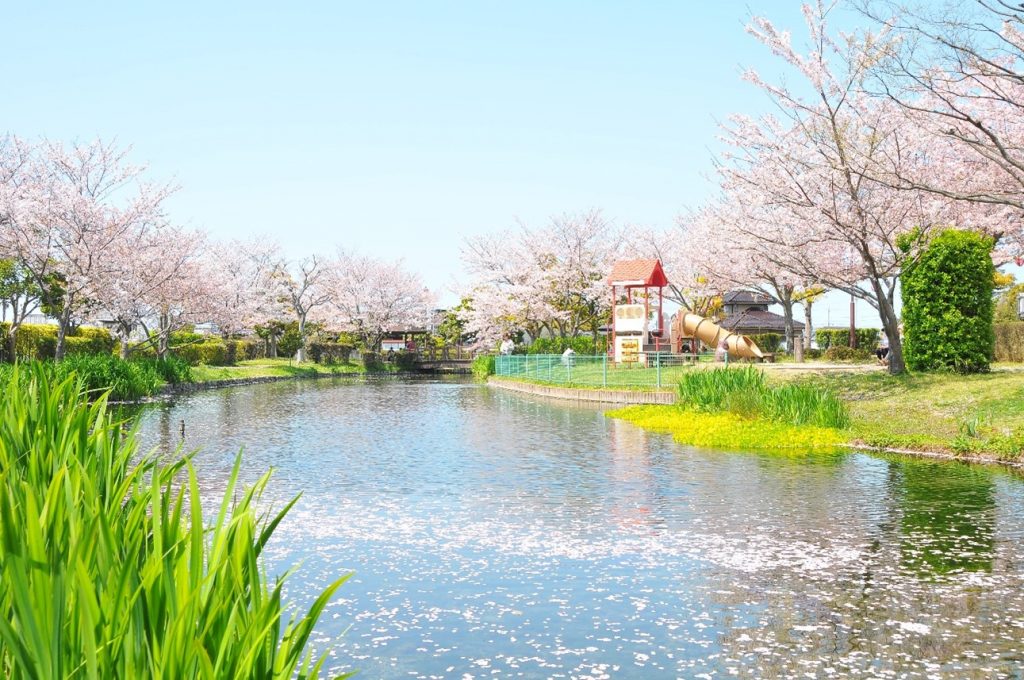 ひょこたん池公園（松前町／スポット） まとめえひめ