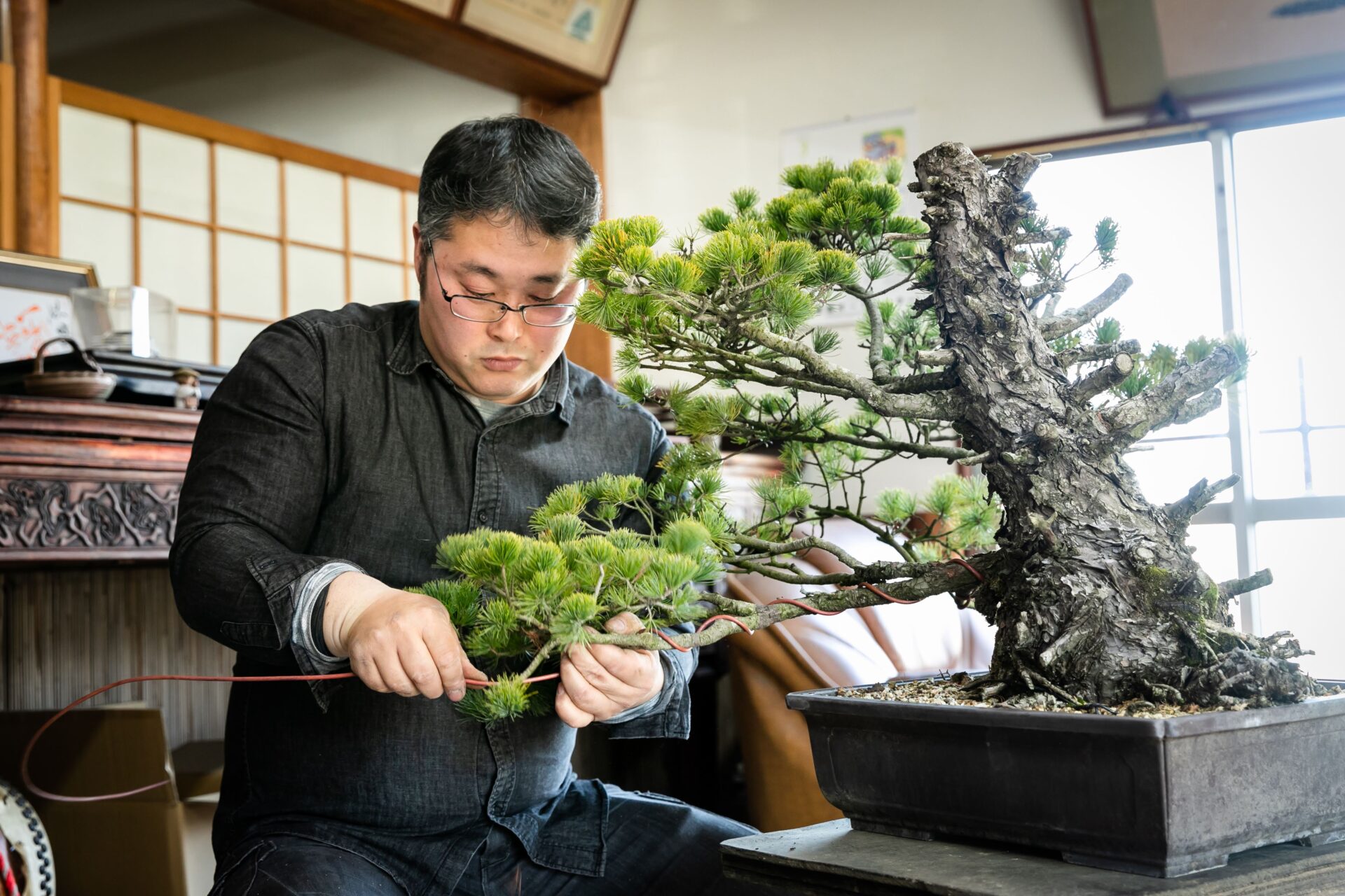 感性を磨く！手軽に楽しめるミニ盆栽作り体験 | 愛媛の旅と体験のご予約